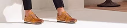 Magnanni model Schulte