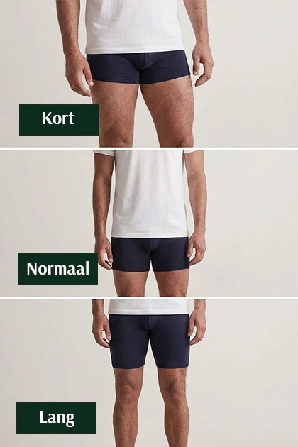Boxer lengte
